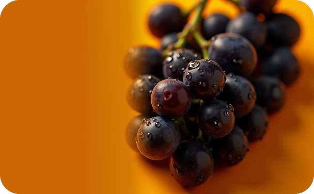 GRAPE